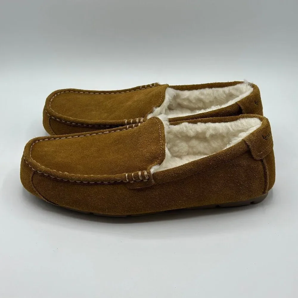 UGG new without